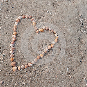 Heart laid in sand and shaped by many mussels photo