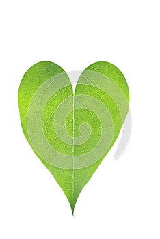 Heart from leaf
