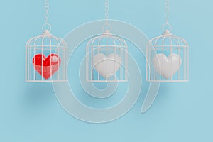 Heart is locked in a cage