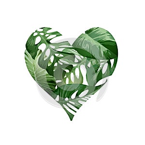 Heart Love Concept With Tropical Palm Tree Leaves