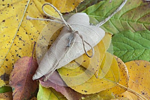 The heart lies on the autumn fallen leaves