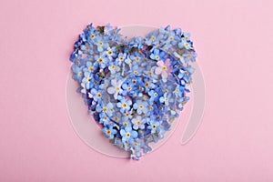 Heart made of amazing spring forget-me-not flowers on color background