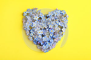 Heart made of amazing spring forget-me-not flowers on color background