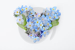 Heart made of amazing spring forget-me-not flowers on white background