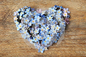 Heart made of amazing spring forget-me-not flowers on wooden background