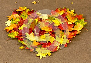 Heart made from autumn golden maple leafs on the ground