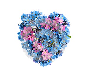 Heart made with beautiful Forget-me-not flowers isolated on white