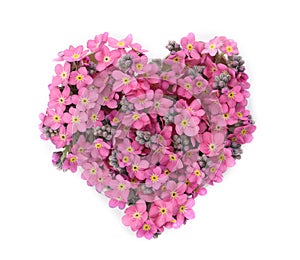 Heart made with beautiful Forget-me-not flowers isolated on white