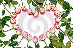 Heart made of beautiful fresh pink roses flowers on white background. Floral mock up for greeting card. Happy Valentine`s day