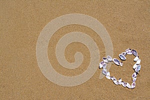 Heart made with beautiful sea shells on wet sand, flat lay. Space for text