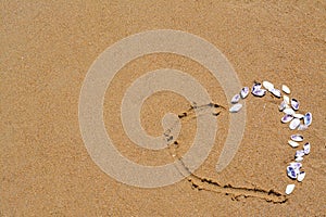 Heart made with beautiful sea shells on wet sand. Space for text