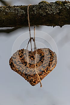 Heart made of birdseed on a branch