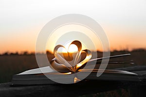 Heart made of book pages in field at sunset