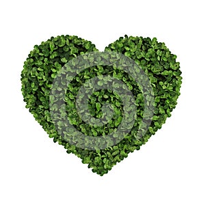 Heart made of clover Isolated on White Background