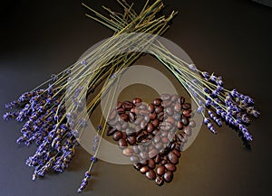 Heart made from coffee beans and flowers of lavender for Valentine`s Day