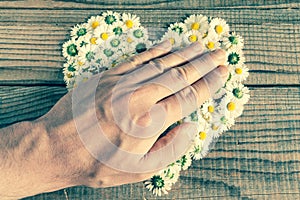 Heart made of daisies flowers in wooden background, covered by a