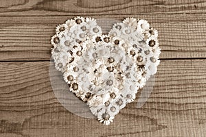 Heart made of daisies flowers in wooden background