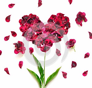 Heart made of flower petals. Red petals heart over white background. Top view. Love and romantic theme.