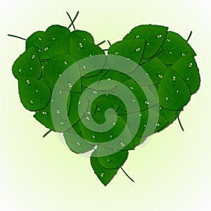 Heart made of green leaves and dew drops