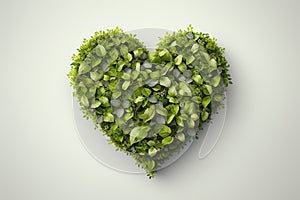 Heart made of green leaves Isolated on white background.