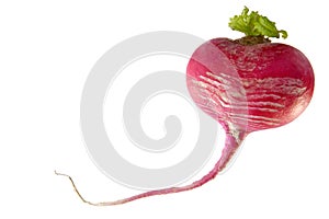 Heart made of radish