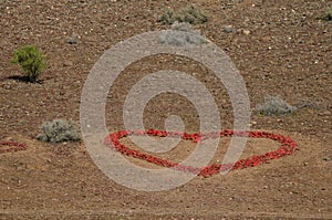 Heart made with red painted stones.