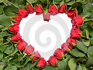 Heart made of red roses with stem