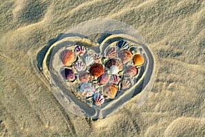 Heart made of sea shells lying on sand