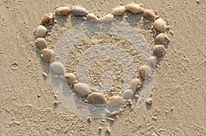 Heart made of shells on beach