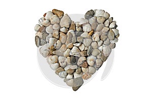 Heart made of shells