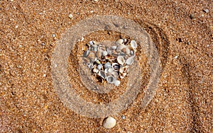 A heart made of shells on wet sea sand