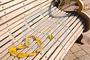 A heart made of yellow autumn leaves is laid out on a wooden white bench in the park.