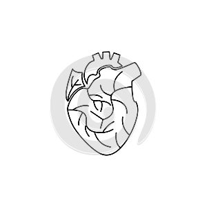 Heart, Man heart, human heart icon