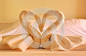 Heart Model on Honeymoon Bed