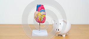 Heart model with Piggy Bank for Cardiovascular Diseases, Atherosclerosis, Hypertensive Heart, Valvular Heart, Aortopulmonary