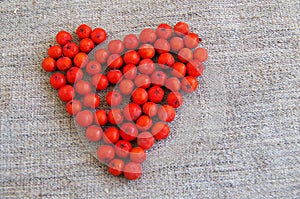 Heart from mountain ash berries