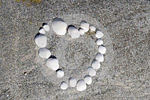 Corazón de conchas sobre el la roca 