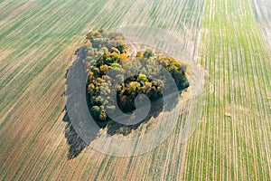 Heart of a nature, aerial view of autumn heart shaped forest