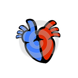 Heart organ stylized vector