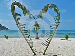 Heart of palm trees for lovers in love