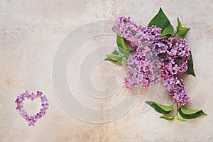 Heart of petals and flesh lilac flowers