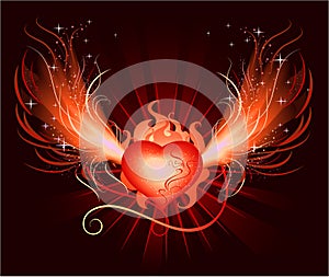 Heart of the phoenix