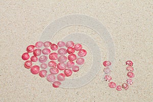 Heart from pink snails