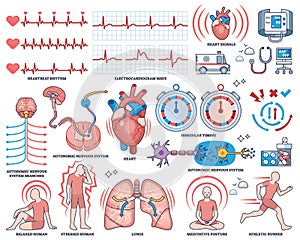 Heart rate variability collection shows heart, ECG waves, and autonomic ... photo