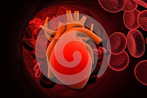 Heart with red cells