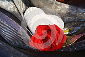 Heart and red rose, close up. Valentine concept