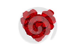 Heart of red rose flower petals on white background