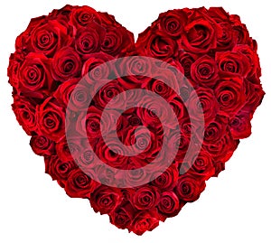 Heart of red roses