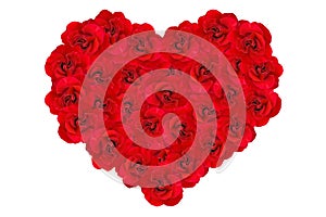 Heart of red roses. Heart background of red roses isolated on white background