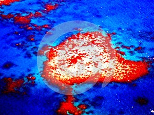 Heart Reef in Great Barrier Reef form sky view in Australia